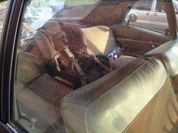 Shoulda Left The Window Open