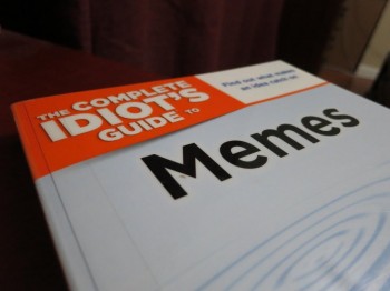 Idiots Guide To Memes