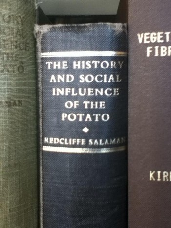The History And Social Influence