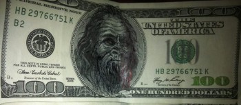 Chewbacca Money