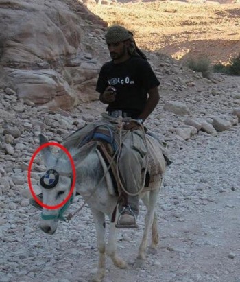 BMW Donkey