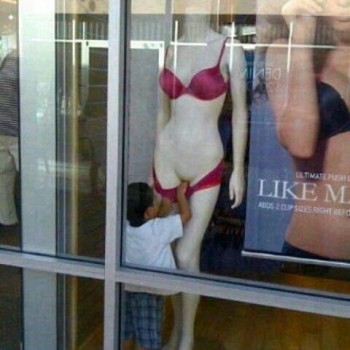 Curiosity has landed