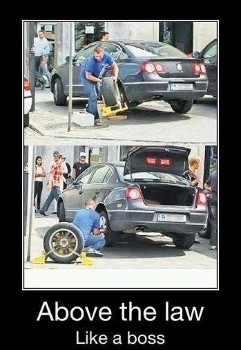 Above The Law