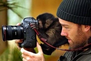 Just point and click