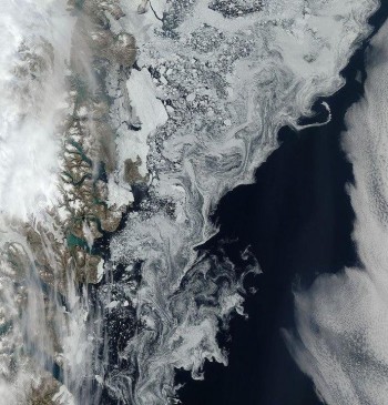 Sea ice swirling off the coast of Greenland in July