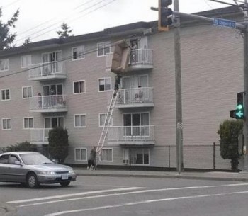 Just Moving a Couch...