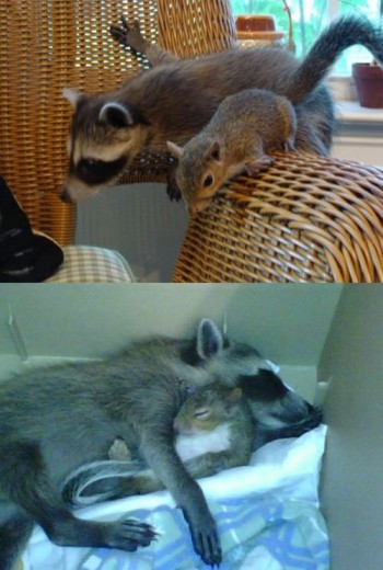 Best friends