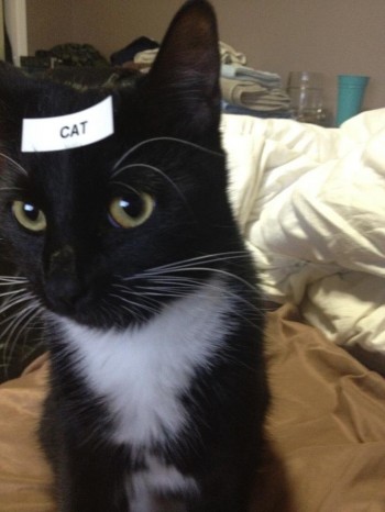 boredom + label maker = ____
