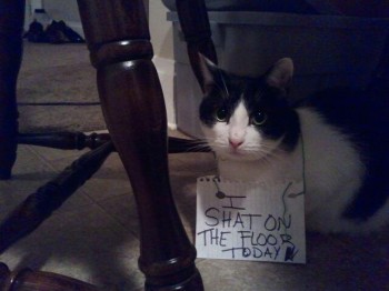 Nothing left but public humiliation
