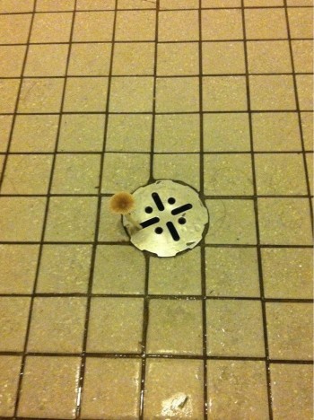 Summer camp showers...