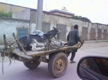 Meanwhile in parallel universe