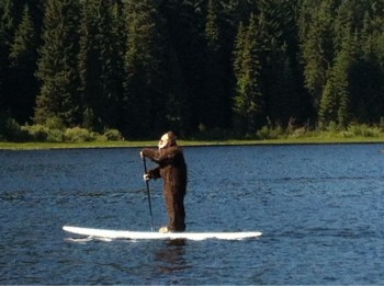I found Sasquatch... on a paddle board?