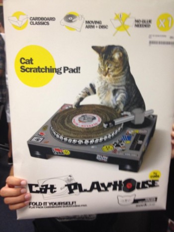 Cat Scratching Pad