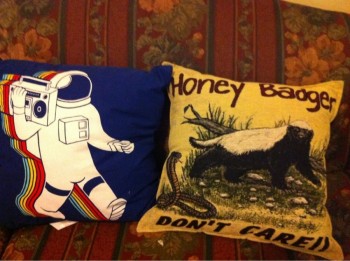 Asked my husband to pick up some throw pillows today