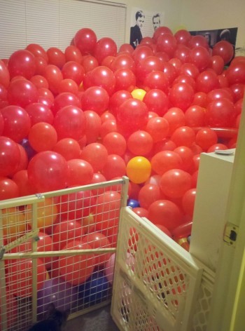 Came home to 987 of these in my bedroom...