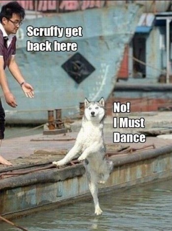 Scruffy, get back here!