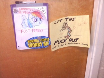 Spiderman door