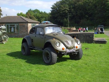 War Beetle