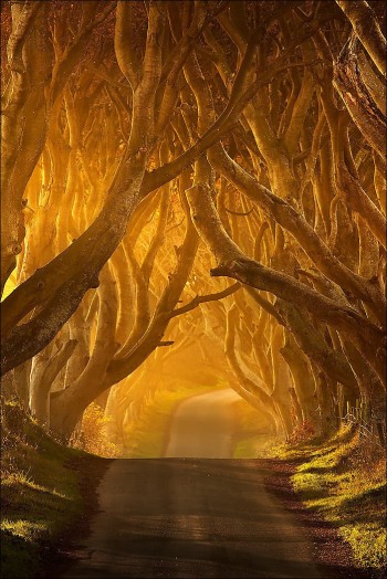 Ireland