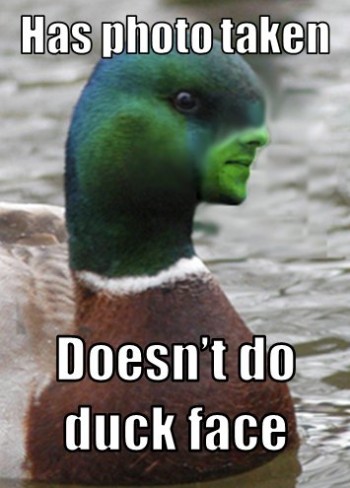 Good Guy Duck