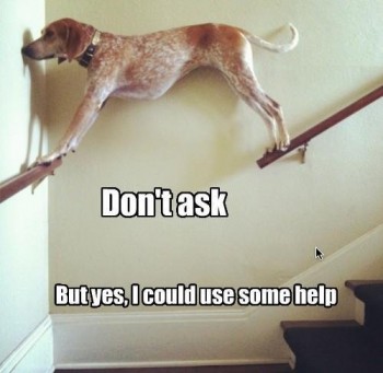 Don't ask