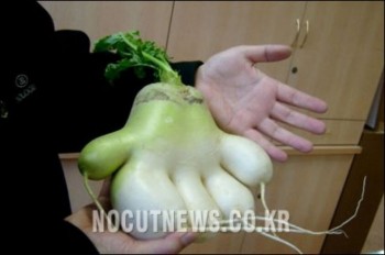 Strange Growths