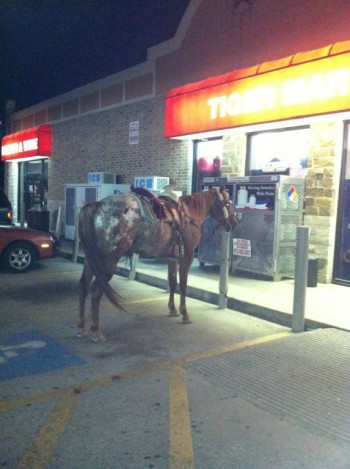 How I know I live in Texas