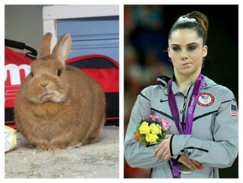 Not impressed McKayla’s equally unimpressed bunny