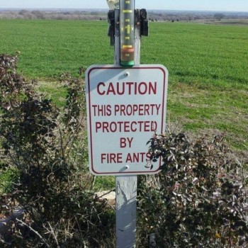How I know I live in Texas
