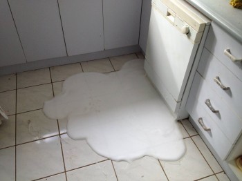 No one told me dishwashing liquid wasn't for the dishwasher.