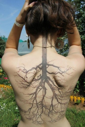 Hair roots