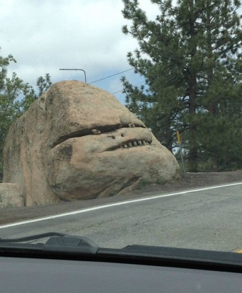 My girlfriend and I were driving in the mountains when suddenly