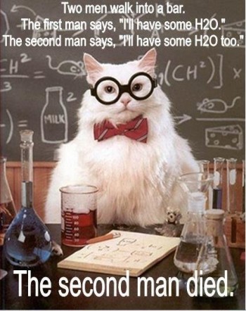 Science Cat