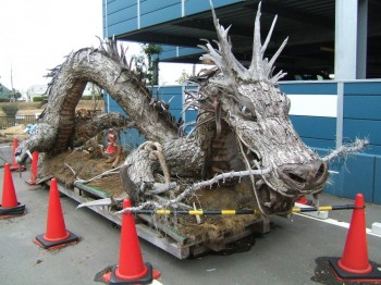 Tree bark dragon in Japan