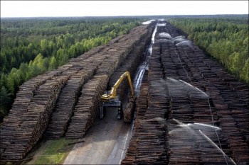 Worlds Largest Storage of Wood in Sweden