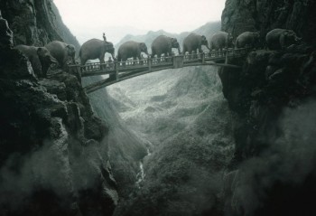 Strong Old Bridge