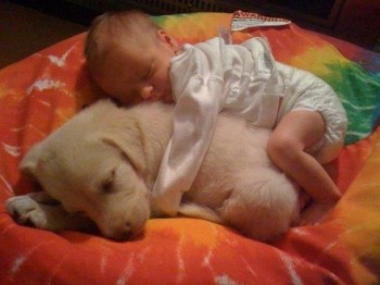 Man's best friend from the very beginning...