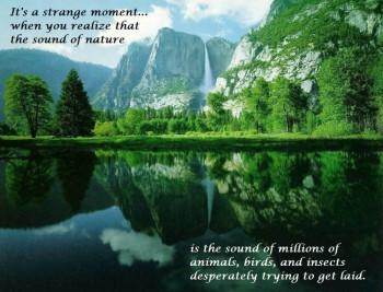 The sound of nature...