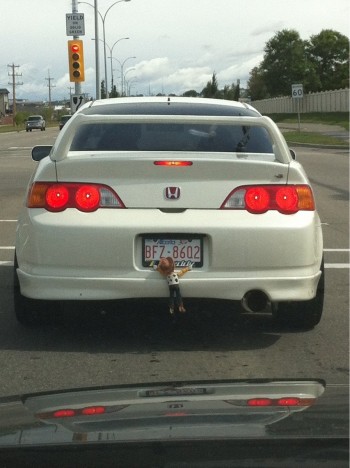 Hang on Woody!