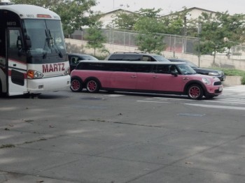 Mini Limo