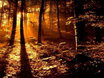 Awesome Sunrise