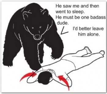In case of bear