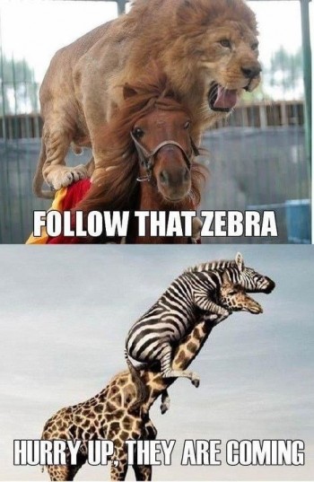 Faster!