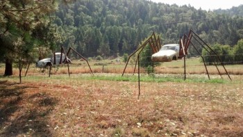 Found these after a wrong turn 40 miles from my home.
