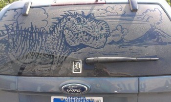 On a car outside the grocery store