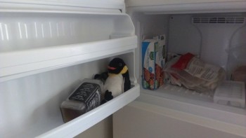 Had a Crazy Party Last Night...