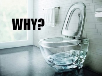 See Through Toilet? Why?!