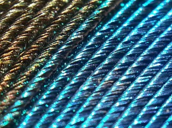 Peacock Feather Magnified