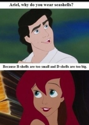 Ariel's Seashells