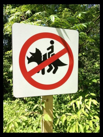 Darn it, now I have to find another way to get to work!